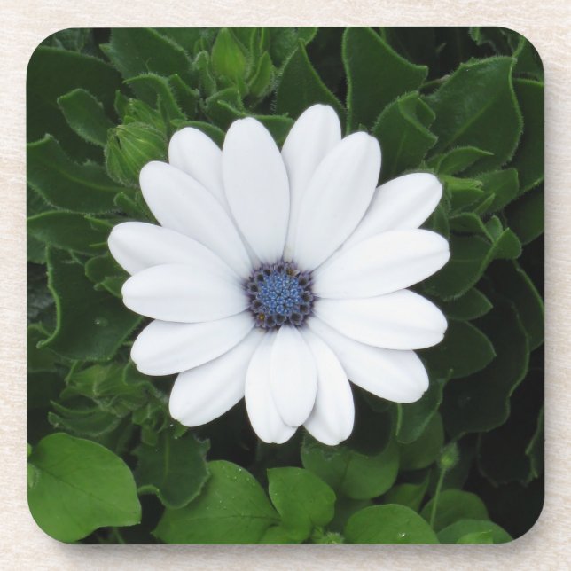 White Flower coasters (Front)