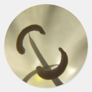 White Flower Details Sticker