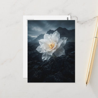 White flower growing from rock postcard