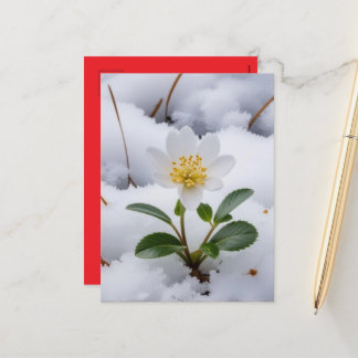 white flower holiday postcard