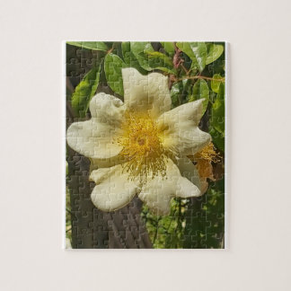 White flower jigsaw puzzle
