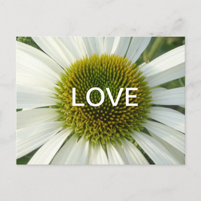 White Flower LOVE Cust. Postcard (Front)