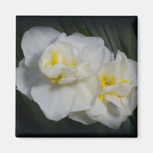 White Flower Magnet