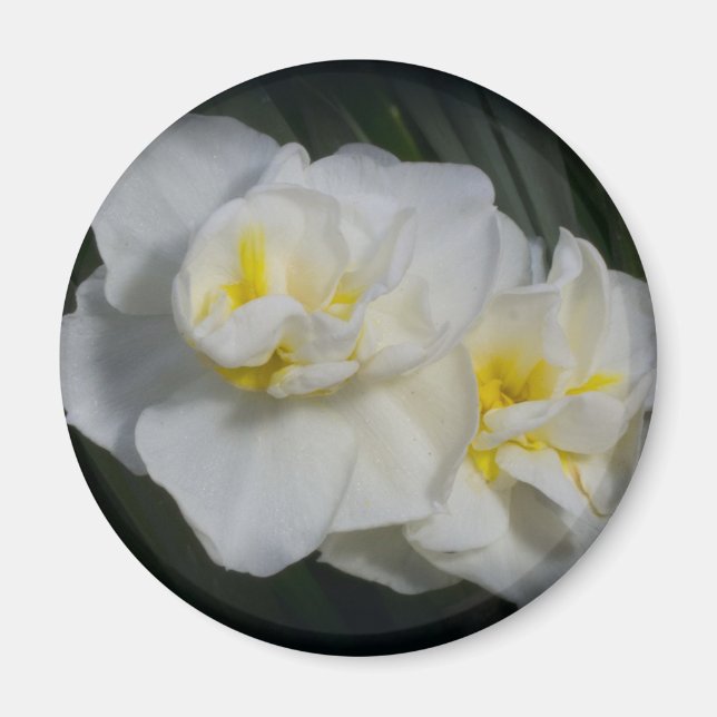 White Flower Magnet (Front)