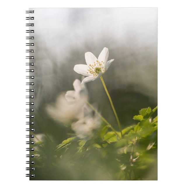 White Flower Nature Photo Notebook (Front)