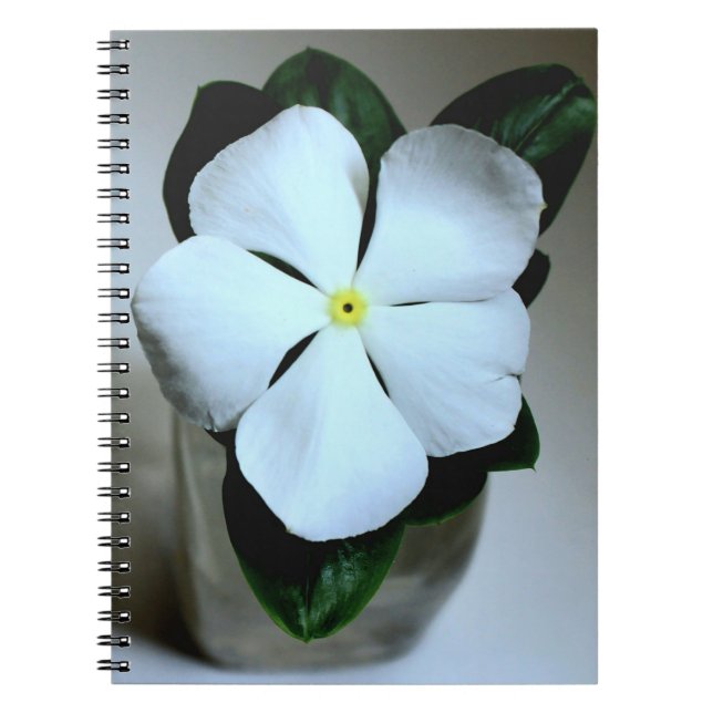 White Flower Notebook (Front)
