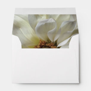 White flower on polka dots envelope