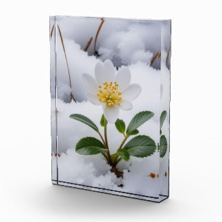 white flower photo block