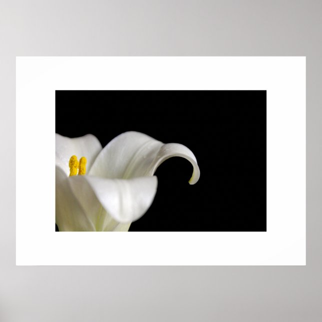 White Flower Poster (Front)
