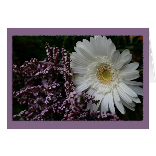 White Flower purple background (Front Horizontal)