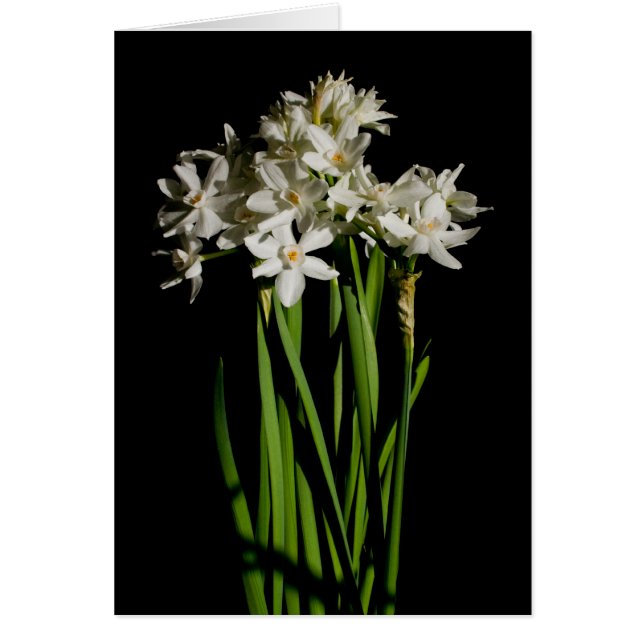 White Flower Spring Event And Wedding Card (Front)