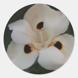 white flower sticker