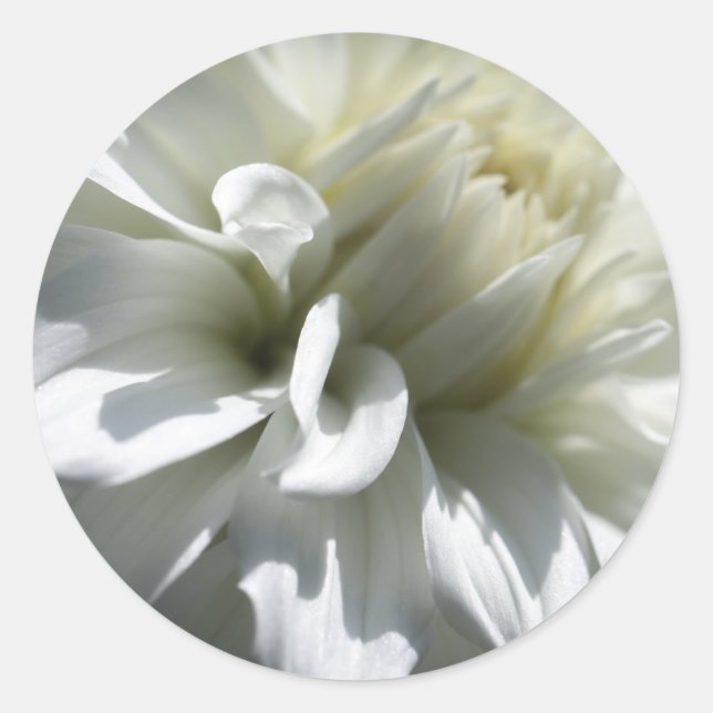 White Flower Stickers (Front)