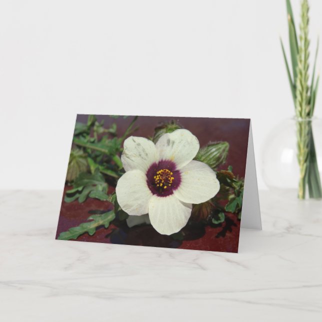 White Flower Still Life all occasions Card (Front)