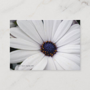White Flower with Blue Centre Business Card