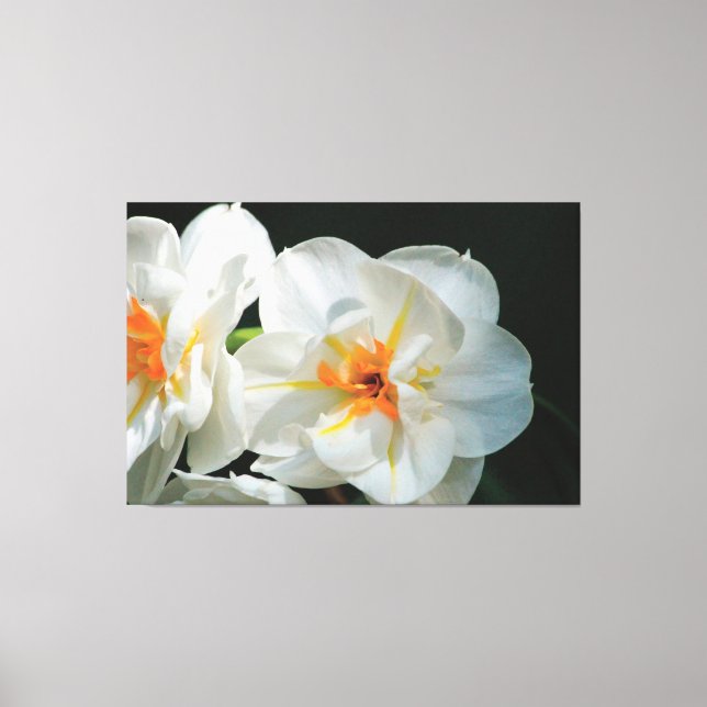 White Flowered Canvas Print (Front)
