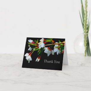 White flowering cherry tree, white blossoms thank you card