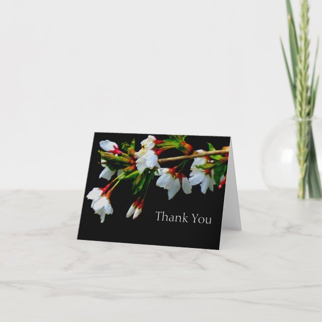 White flowering cherry tree, white blossoms   thank you card (Front)