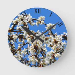 White flowering spring blossom, cherry tree round clock