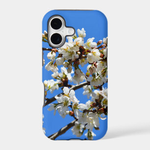 White flowering spring tree white floral blossom