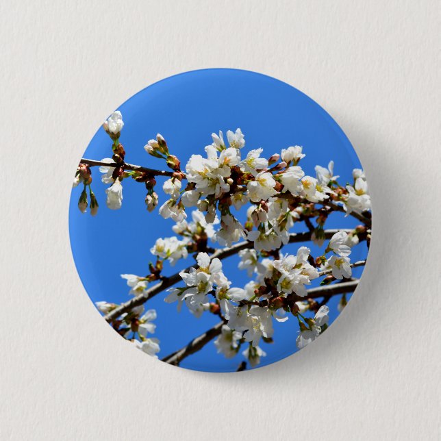 White flowering spring tree white floral blossom  6 cm round badge (Front)
