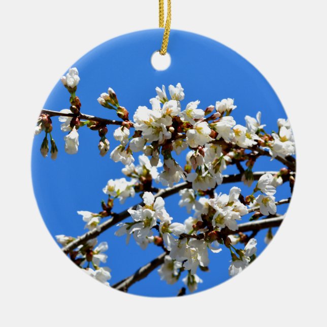 White flowering spring tree white floral blossom  ceramic ornament (Front)