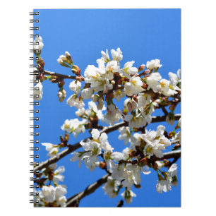 White flowering spring tree white floral blossom notebook