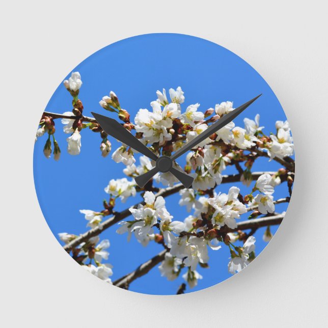 White flowering spring tree white floral blossom  round clock (Front)