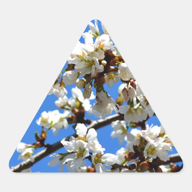 White flowering spring tree white floral blossom  triangle sticker (Front)