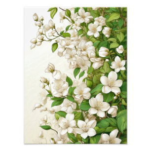 White Flowers and Green Leaves Photo Print