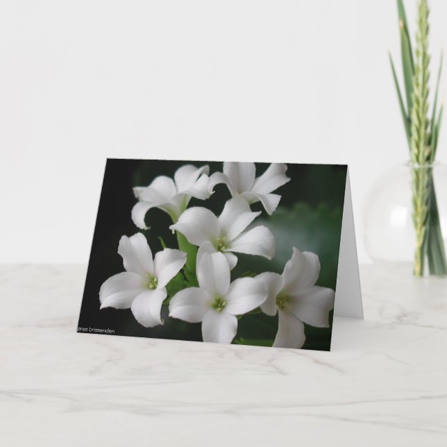 White Flowers Card (Front)