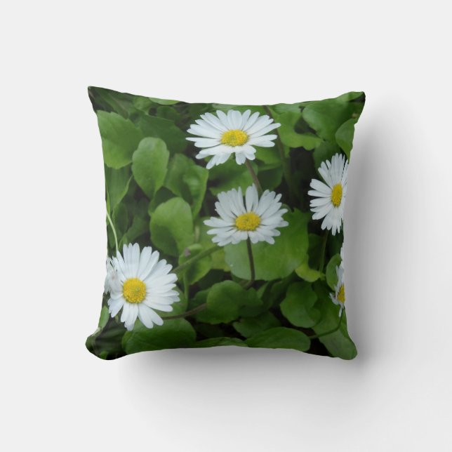 White Flowers Daisy  Cushion 41 cm x 41 cm (Front)