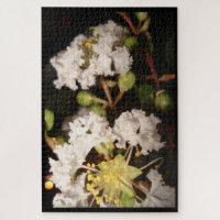 White Flowers Modern Plant Nature Photography Art