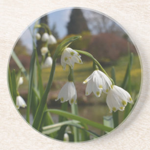 White Flowers Snowdrops w/ Landscaped Gardens Coaster