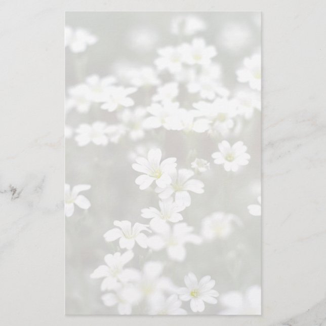 White Flowers Stationery (Front)