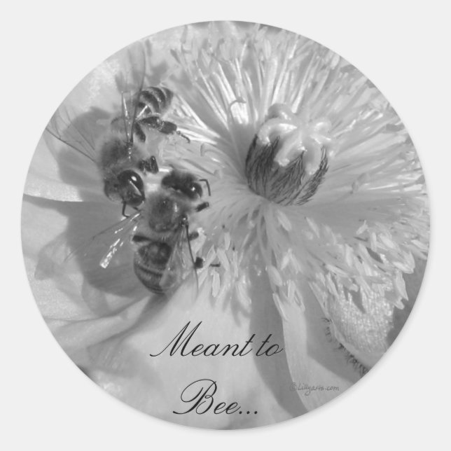 White Flowers Wedding Invitation Seals (Front)