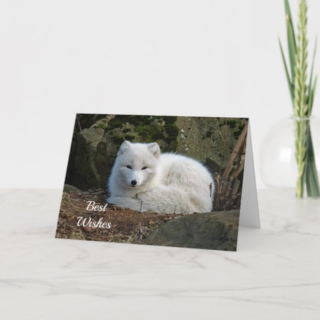 White Fox Photo Congratulations Wedding Card (Front)