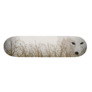 White Fox Skateboard