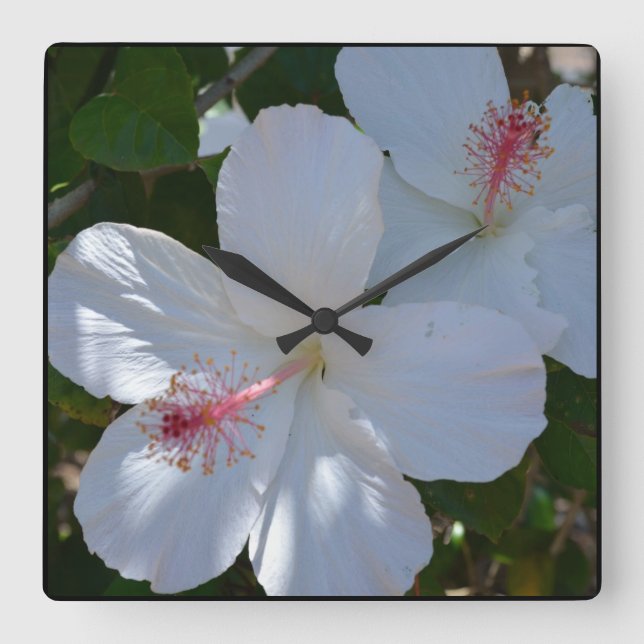 White Fragrance Wall Clock (Front)