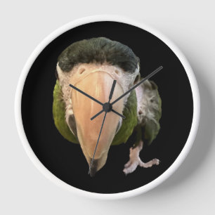 white framed beakysnooter clock