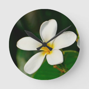 White Frangipani Round Clock