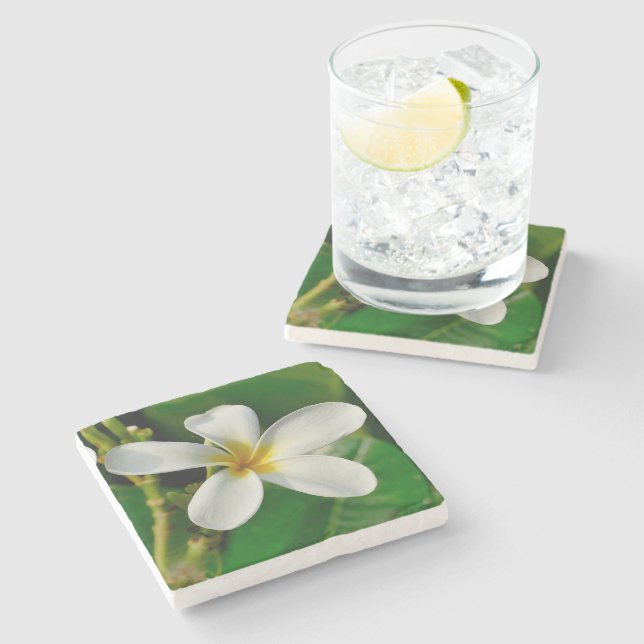 White Frangipani Stone Coaster (Side)