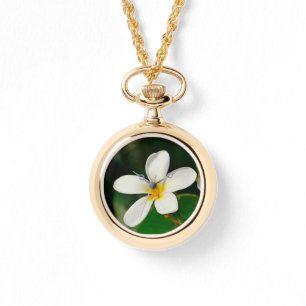 White Frangipani Watch