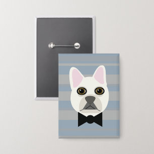 White French Bulldog, Stripes