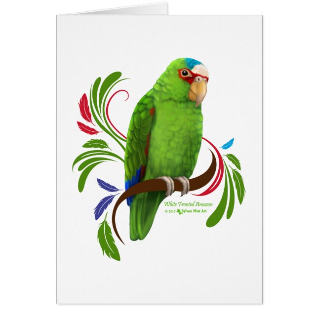 White Fronted Amazon (Front)