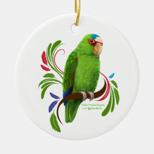 White Fronted Amazon Ceramic Ornament