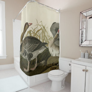 White-fronted Goose from Audubon Birds of America Shower Curtain