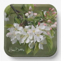 White Fruit Blossom Square