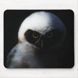 White Fuzzy Owl with Piercing Gaze Mouse Pad