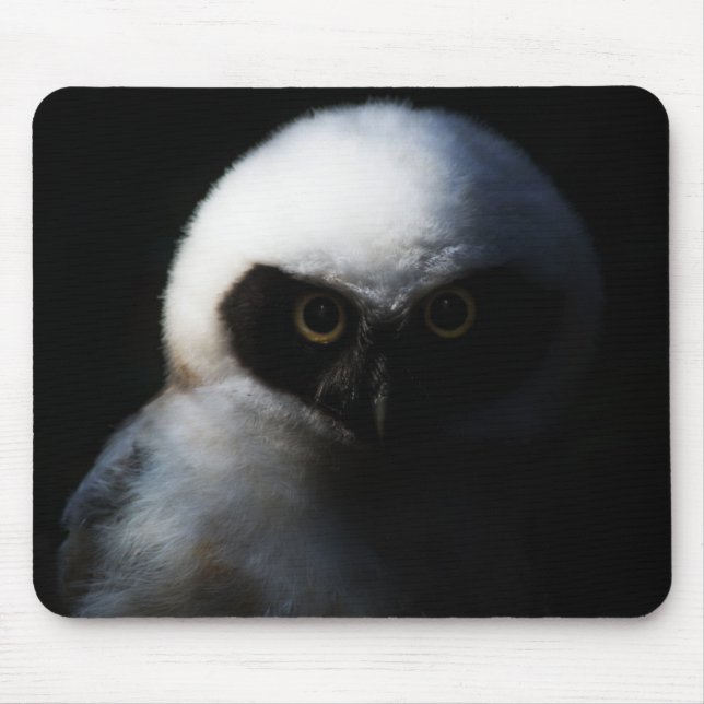 White Fuzzy Owl with Piercing Gaze Mouse Pad (Front)